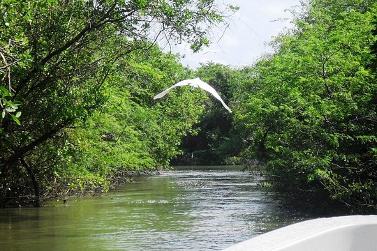 Tour image 1