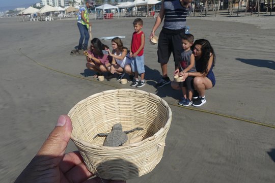 Tour image 4