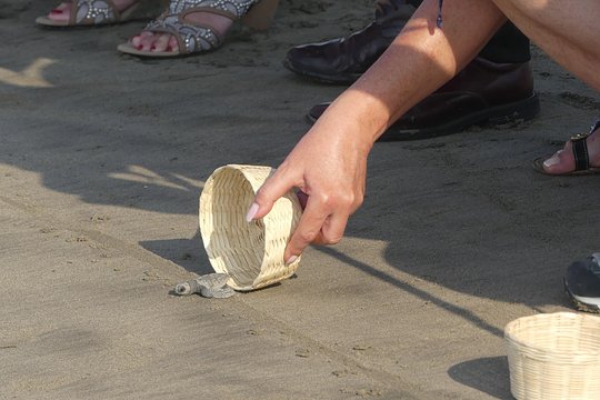 Tour image 8