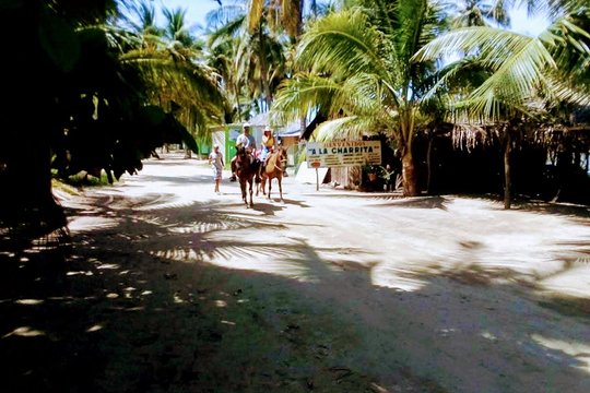 Tour image 4