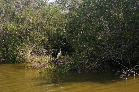 Tour image 9
