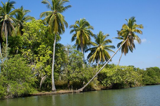 Tour image 9
